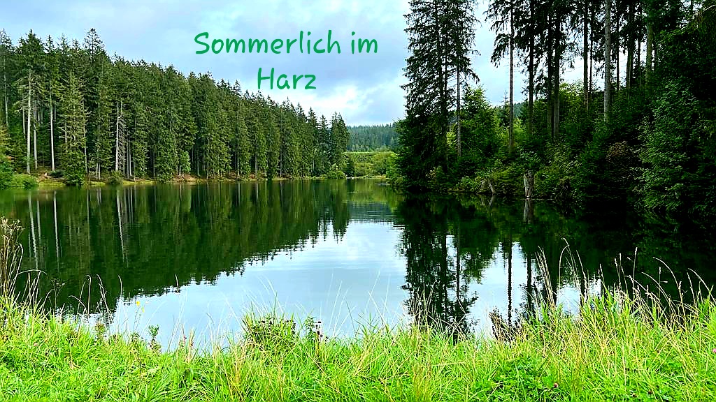 Sommerlich_im_Harz.jpg